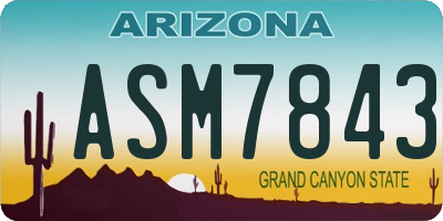 AZ license plate ASM7843
