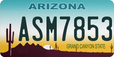 AZ license plate ASM7853