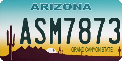 AZ license plate ASM7873