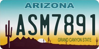 AZ license plate ASM7891