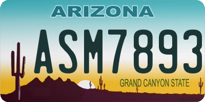 AZ license plate ASM7893