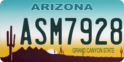 AZ license plate ASM7928
