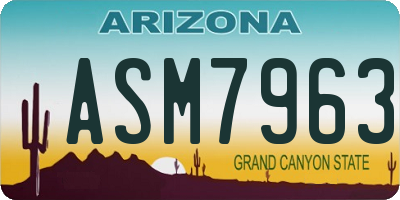 AZ license plate ASM7963