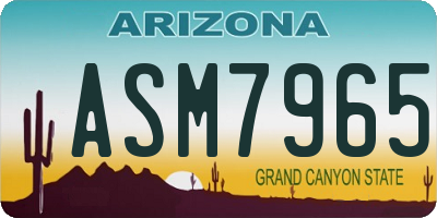 AZ license plate ASM7965