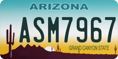 AZ license plate ASM7967