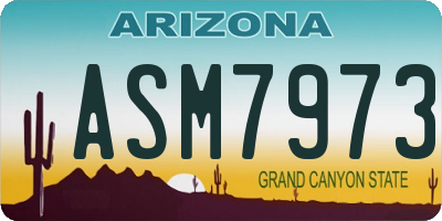 AZ license plate ASM7973