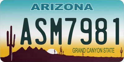 AZ license plate ASM7981