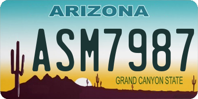 AZ license plate ASM7987