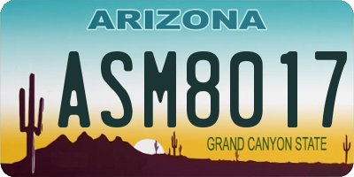 AZ license plate ASM8017