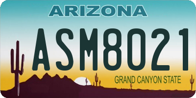 AZ license plate ASM8021