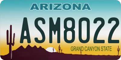 AZ license plate ASM8022