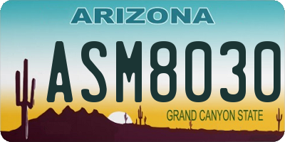 AZ license plate ASM8030
