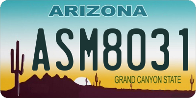 AZ license plate ASM8031