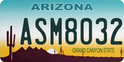 AZ license plate ASM8032