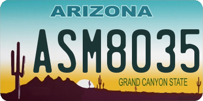AZ license plate ASM8035