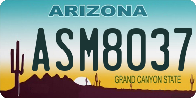 AZ license plate ASM8037