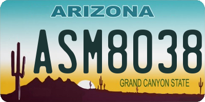 AZ license plate ASM8038