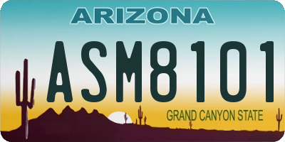 AZ license plate ASM8101