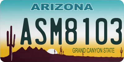AZ license plate ASM8103