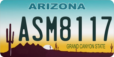 AZ license plate ASM8117