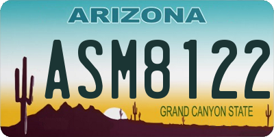 AZ license plate ASM8122