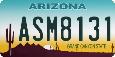 AZ license plate ASM8131
