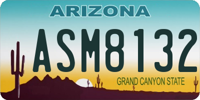 AZ license plate ASM8132