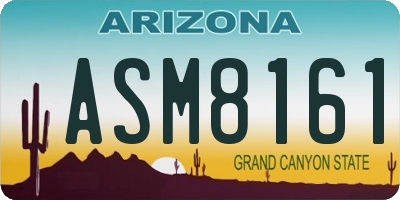 AZ license plate ASM8161