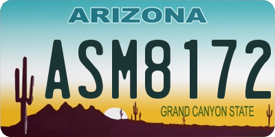 AZ license plate ASM8172