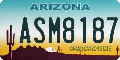 AZ license plate ASM8187