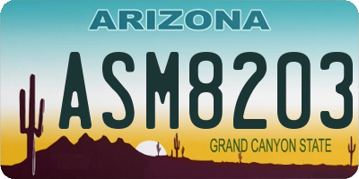 AZ license plate ASM8203