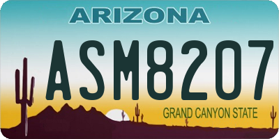 AZ license plate ASM8207