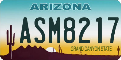 AZ license plate ASM8217