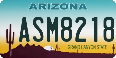 AZ license plate ASM8218