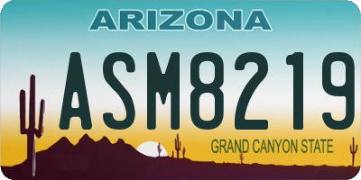 AZ license plate ASM8219