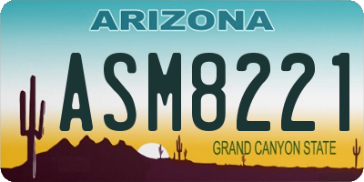 AZ license plate ASM8221
