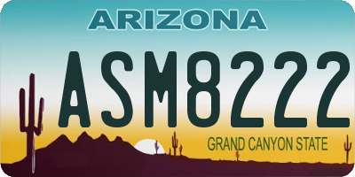 AZ license plate ASM8222