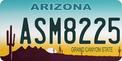 AZ license plate ASM8225