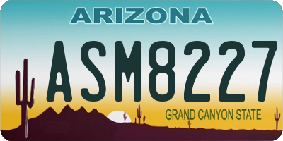 AZ license plate ASM8227