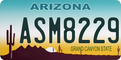AZ license plate ASM8229
