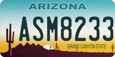 AZ license plate ASM8233