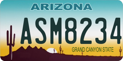 AZ license plate ASM8234