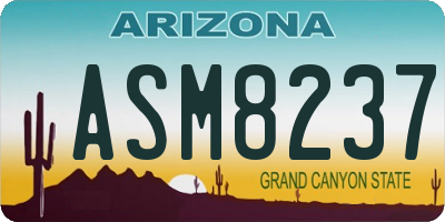 AZ license plate ASM8237