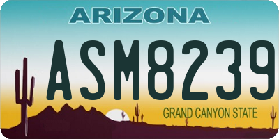 AZ license plate ASM8239