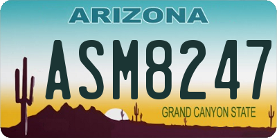 AZ license plate ASM8247