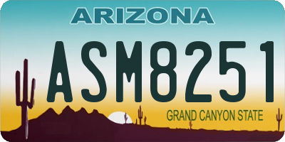 AZ license plate ASM8251
