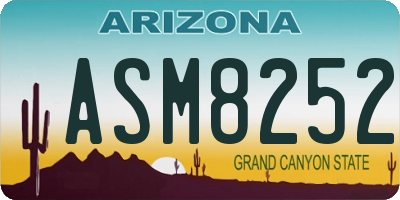 AZ license plate ASM8252