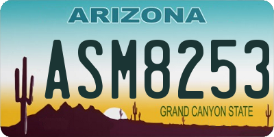 AZ license plate ASM8253