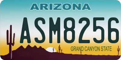 AZ license plate ASM8256