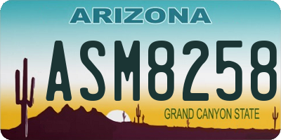 AZ license plate ASM8258